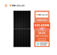 Panneau solaire Tongwei TW Solar TWMNH-66HD TNC 2.0 635W 640W 645W 650W 655W Monocristallin N-type 132 demi-cellules Bifacial