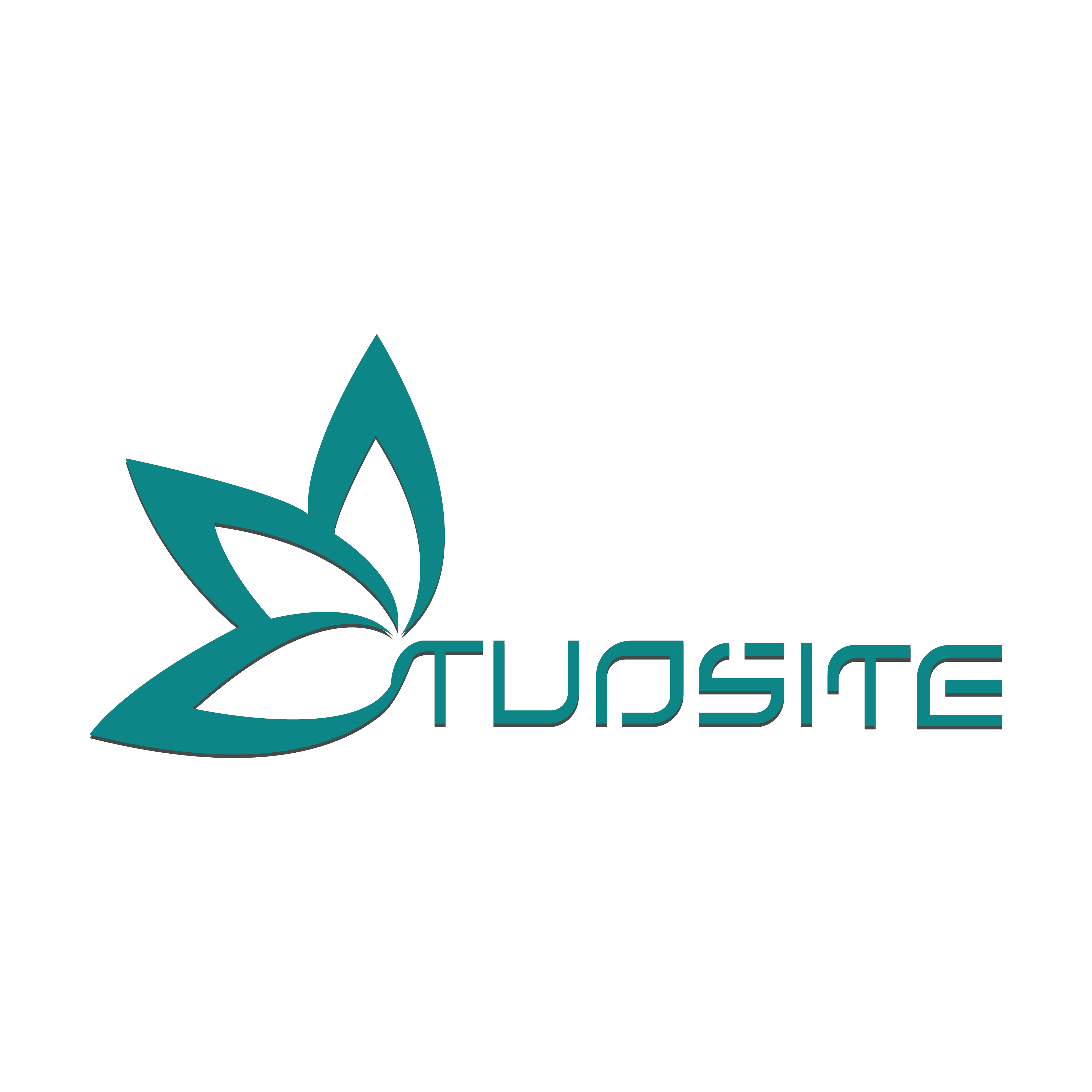 Hebei Tuosite Technology Limited logo