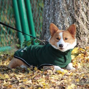 معطف شتوي للكلاب, معطف شتوي دافئ للكلاب ، بيع كامل ، مقاوم للماء - Product Image 6