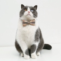 Collier à nœud papillon rayé en coton et polyester de style britannique pour chat et chien, accessoires anti-suffocation pour mariage
