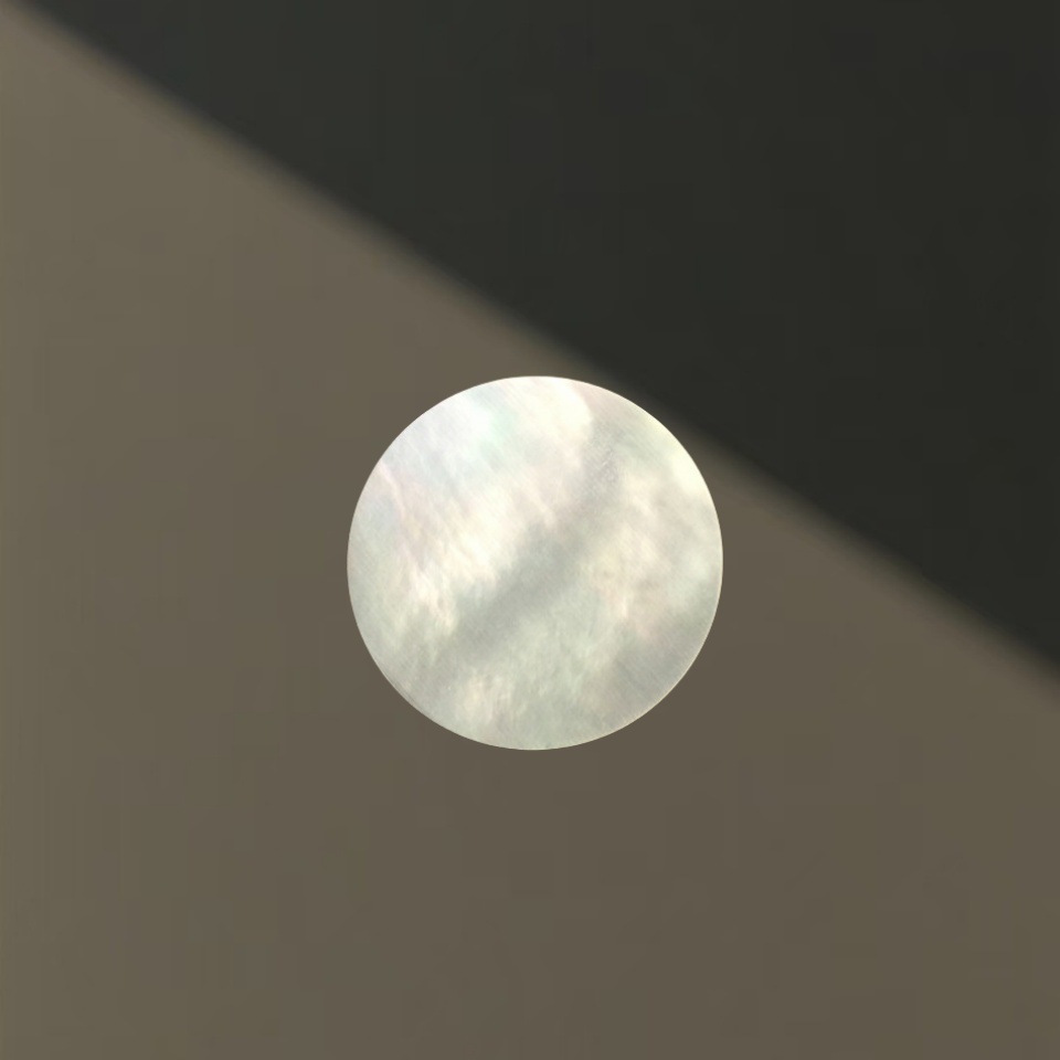 Il diametro del disco a conchiglia bianca a forma di farfalla è