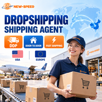 Agent d'expédition en dropshipping Chine-USA Europe DDP Porte-à-Porte Livraison Rapide Transitaire Service Logistique