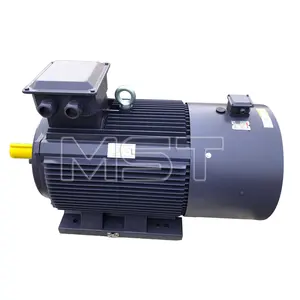 3 Phase Induction 3kw Three-Phase Variable Frequency Motor 3 Phase Motor 30hp Industrial Motor
