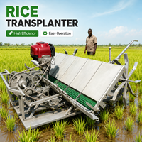 Transplanteur de riz multifonctionnel - 4/6 rangs, marche à pied, essence, pour petites exploitations