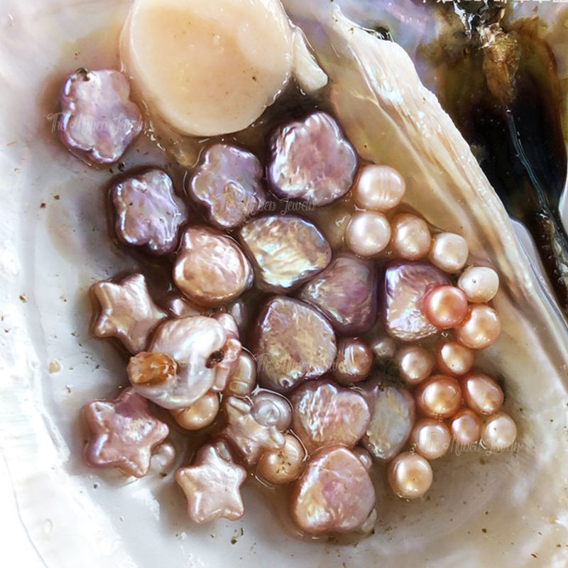 Huître monstre perle extraterrestre (Étoiles/Lune/Amour/Fleur, environ 3 à 5 pièces)