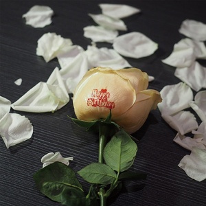 Machine d'impression à café pour 1 tasse, en treillis de fleurs, art et rose, bon marché, en vente en l'afrique du sud, - Product Image 4