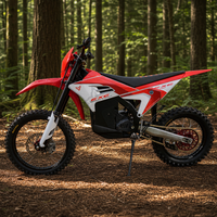 Moto électrique tout-terrain Arctic Leopard Cheetah E-XE 880 37kW 90V 75Ah 125km/h Enduro