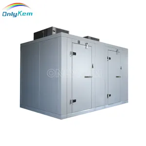 Cámara frigorífica industrial Refrigerador Almacenamiento en frío Walk in Freezer/Cooler Combo
