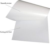 Feuilles de Film PET, 13x19 pouces, A3 + DTF, pièces