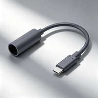 Câble d'alimentation court Starlink Mini Type C vers DC femelle, câble d'alimentation étanche USB C vers DC 5521 pour Starlink Mini