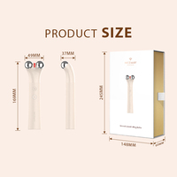Masajeador Facial con Rodillo Metálico y Microcorriente EMS, IPX6, con Logotipo Personalizado OEM ODM, Equipo Facial para Uso Doméstico