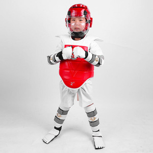 Ensemble complet de protection en polyester sur mesure pour le Taekwondo, équipement épaissi pour l'entraînement, le sparring, la compétition, le Sanda et la <span class=keywords><strong>lutte</strong></span> - Product Image 2