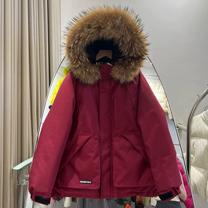 Manteau d'hiver en duvet avec col en fourrure vintage pour femmes, mode décontractée, ample, vêtements de travail, chaud, manteau de couple - Product Image 3