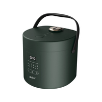 Mini cuiseur à riz électrique 0,8 l, bonne qualité, prix le plus bas, 300 W, pour soupe, bouillie, gâteau, yaourt, cuiseur à riz portable pour 1-2 personnes