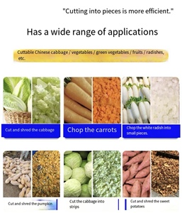 เครื่องแปรรูปอาหารสัตว์จากโรงงานขายตรง ตัดผักสด (ฟักทอง มันเทศ) เป็นอาหารสัตว์ที่มีคุณค่าทางโภชนาการ - Product Image 6