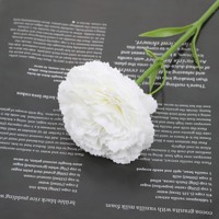 Fleur d'œillet éternelle préservée faite à la main, longue durée, pour cadeau de Fête des Mères, décoration intérieure, style moderne