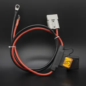 Factory custom high quality 2-Pin Anderson connector to fuse block and Tube terminals wiring harness for Automobile Motorcycle