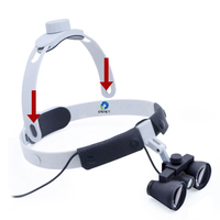 Loupe colorée EUR PET Meilleure qualité Loupe dentaire chirurgicale Microchirurgie Loupe binoculaire Kepler vétérinaire