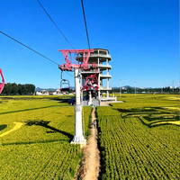 Funiculaire touristique de grande capacité pour l'intérieur et l'extérieur, pour le tourisme urbain et les parcs d'attractions