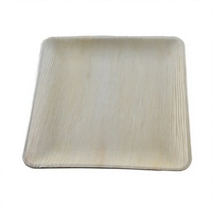 Assiette plate carrée en bambou, design minimaliste, vaisselle et assiettes biodégradables, 10 x 10 pouces - Product Image 1
