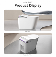 WC intelligent en céramique sur pied avec réservoir intégré pour distributeur d'articles sanitaires (OEM)