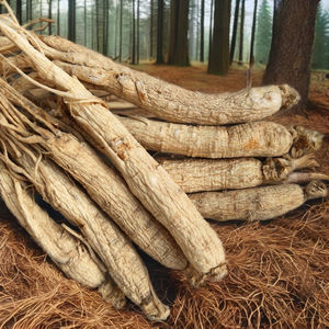 Yüksek kaliteli 5 yaşındaki kurutulmuş % Ginseng kökü ham tarım ürünü sağlık yararına - Product Image 6
