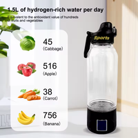 Portable voyage 1000ml H2 riche argent tasse filtre électrique titane qualité Portable antioxydant hydrogène verre bouteille d'eau