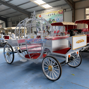 Voiture électrique de princesse de haute qualité, chariot de chevaux pour mariage ou tourisme, véhicule de transport spécial - Product Image 4