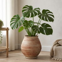 Grand vase en céramique pour plantes, style nordique Wabi Sabi, pot hydroponique à large ouverture, pot rustique vintage pour la décoration de la maison