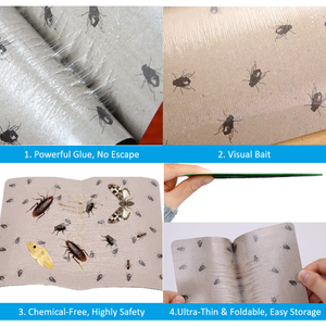 Trampa para Moscas Verdes <span class=keywords><strong>de</strong></span> Fácil Uso, 20 Piezas/Bolsa OPP, con Adhesivo Superfuerte para Oficinas y Hospitales - Product Image 4