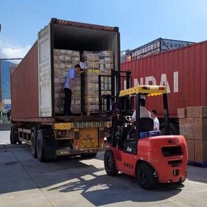 وكيل شحن منتجات حساسة من الصين إلى بولندا/إسبانيا/ألمانيا من الباب إلى الباب - Product Image 6