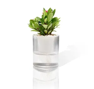 3.0/4.5 inch automatic water-absorbing succulent plant dedicated transparent succulent gardening bonsai flower pots