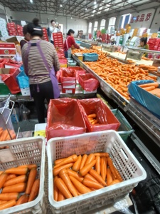 Hochwertiger 10-<span class=keywords><strong>kg</strong></span>-Papierkarton für frisches Gemüse einschl ießlich Karotten aus Vietnam-Rufen Sie WhatsApp zur Bestellung an - Product Image 4