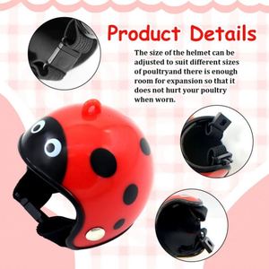 Precio de Fábrica: Cascos Protectores Creativos para Aves, Sombreros de Seguridad para Gallinas, Accesorios para Pollos, Loros y Periquitos - Product Image 3