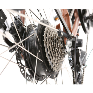 Bicicleta Eléctrica EMB16 de 28 Pulgadas con Llanta de Acero Inoxidable, Motor de 350W, Cuadro Bajo y 9 Velocidades para Dama - Product Image 6
