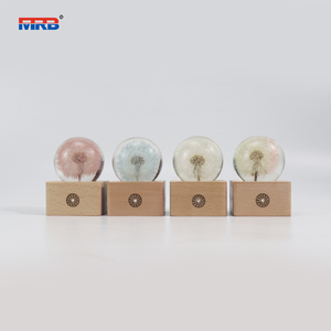Cadeau de noël pissenlit 3D boule de cristal veilleuse batterie Base <span class=keywords><strong>en</strong></span> <span class=keywords><strong>bois</strong></span> Led lampe d'ambiance pour fleur résine <span class=keywords><strong>globe</strong></span> veilleuse - Product Image 6