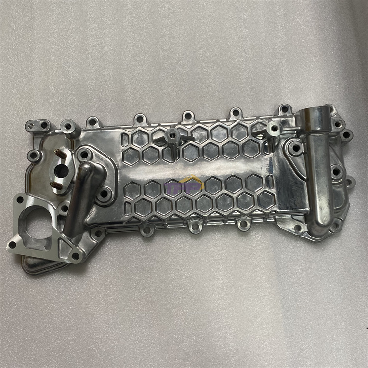 きのこ専用 imgrc0062727951.jpg