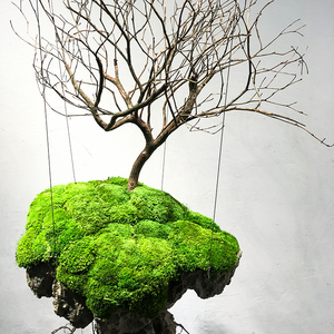 Không gian trang trí Sáng Tạo Treo nghệ thuật cảnh quan nổi héo cây chi nhánh cây nhân tạo giới thiệu Trần phù hợp với - Product Image 3