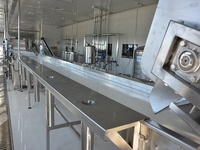 Ligne de production industrielle de pulpe de mangue/machine de traitement de fruits extracteur de jus de gingembre