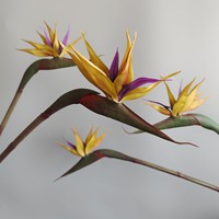 Fleur artificielle d'oiseau de paradis en latex de qualité, décoration douce de maison, fleurs de haute garde
