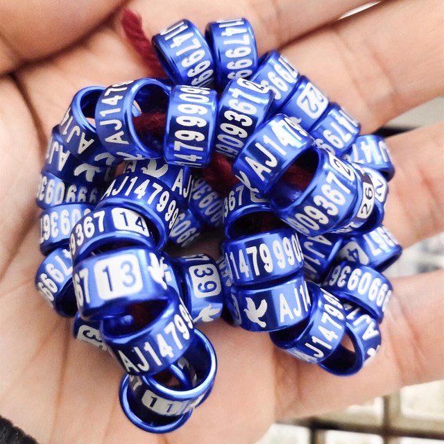 Wholesale Custom Aluminum Alloy Bird Leg Bands Pigeon Rings Parrot Foot Rings Eco-Friendly Durable Tracking Racing Bird Supplies