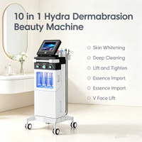 Machine d'hydro-microdermabrasion de haute qualité 10 en 1 avec jet d'oxygène pour l'élimination des points noirs, pour usage professionnel