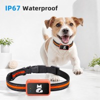 Collier GPS 4G pour animaux de compagnie sans frais d'abonnement, IP67, en nylon réfléchissant, pour chiens et chats, faible MOQ, prêt à être expédié DDP