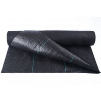 Tapis de mauvaises herbes/tapis d'herbe, grand format, en plastique tissé PP PE, couverture de sol agricole de haute qualité, 80gsm