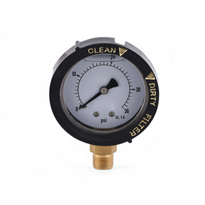 Manomètre radial 50 mm YN63 en fonte, rempli de glycérine, avec filtre propre/saleté pour mesure industrielle - Product Image 1