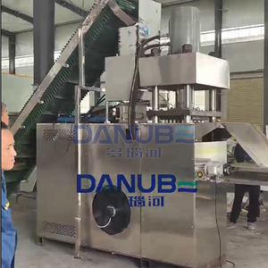2026 DANUBE Hot Selling <b>BBQ</b> Charcoal Making Machine Bagasse Charcoal Bamboo Charcoal Briquetting Production Line - Product Image 5