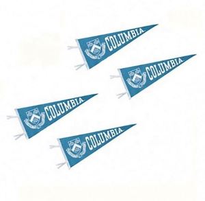 Bandera Triangular de Fieltro con Impresión Digital a Color Personalizada, Bandera Estilo Guirnalda, Banderas Escolares Únicas y Personalizables - Product Image 2