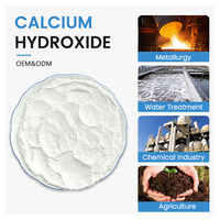 Poudre de chaux calcinée de qualité supérieure 95% : Hydroxyde de calcium à neutralisation haute efficacité pour le traitement des eaux usées