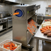 Machine à éplucher les carottes, les radis et les endives automatique en acier inoxydable SAIDASHI - Processeur de légumes commercial
