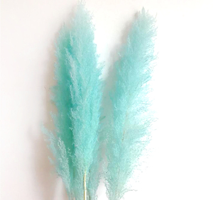 De pampas grass para decoración de <span class=keywords><strong>la</strong></span> boda flores - Product Image 1